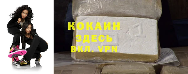 твердый Каменка