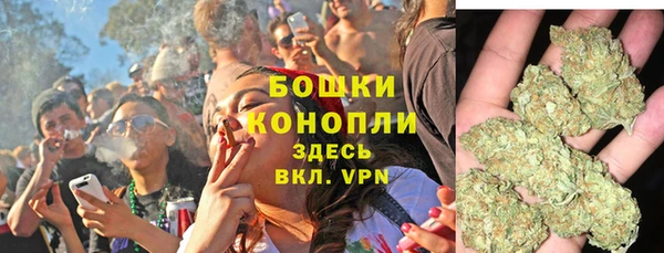 твердый Каменка