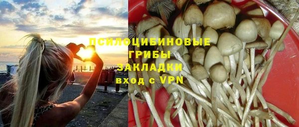метадон Каменск-Шахтинский