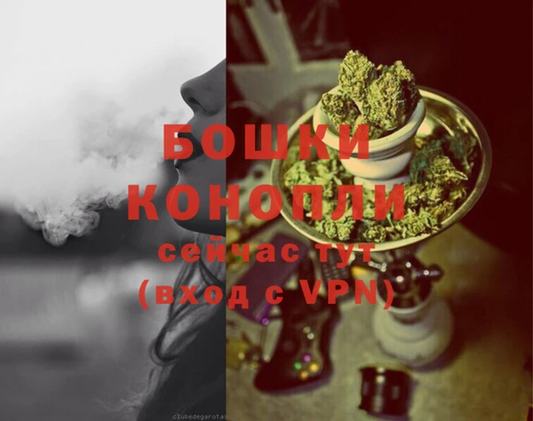 гашик Касимов