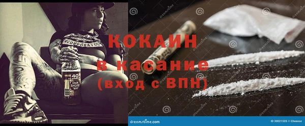 твердый Каменка