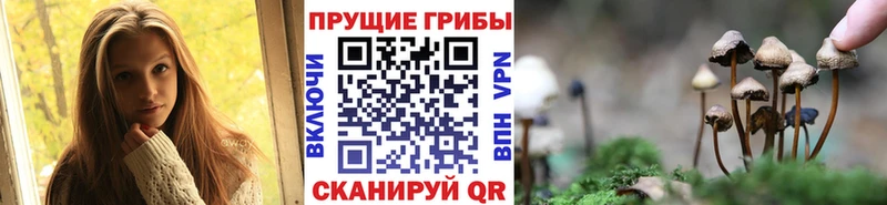 Галлюциногенные грибы MAGIC MUSHROOMS  Купить  Менделеевск 